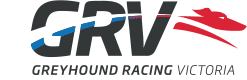 Greyhound Racing Victoria